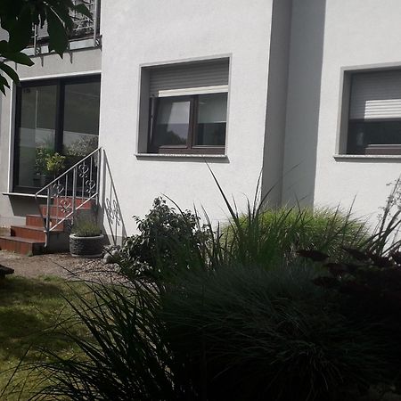 Ferienwohnung Goettert - Haus Erika Beckingen エクステリア 写真